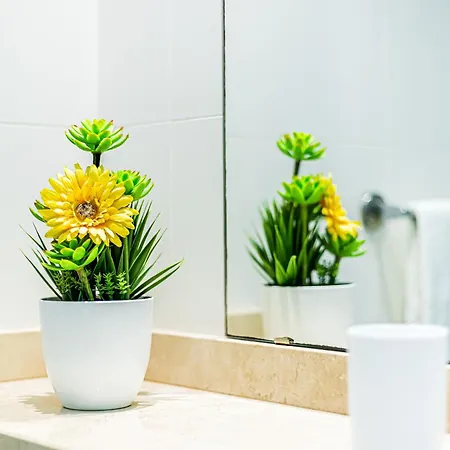 Appartement Rossio Sea View By Alzira *